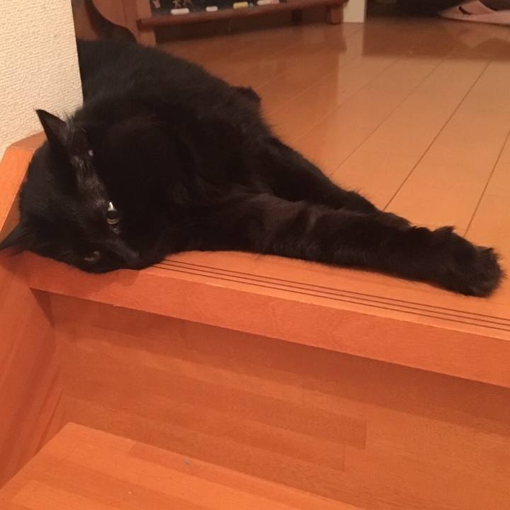 003e7c8f abf0 47d6 9de8 41a734b18898