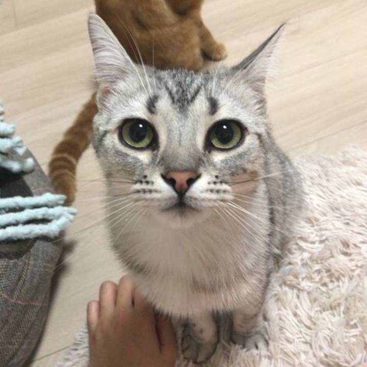 003eb7f2 1fe4 43f4 a9a6 80b5903b9e58