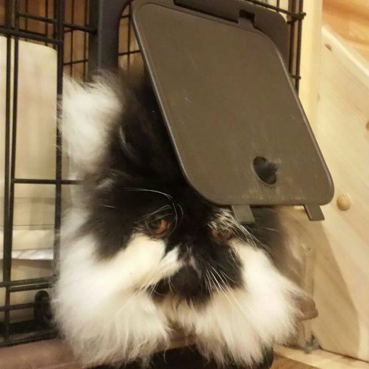 003ec69c 7144 4d30 b789 97a7e35d9aa0