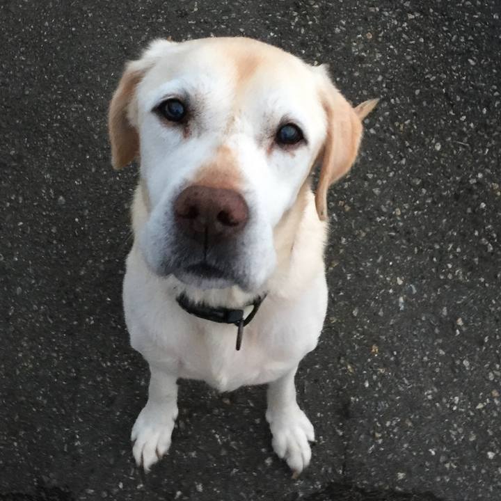 003f2642 e3fe 4243 90cf 6274ad3737d6