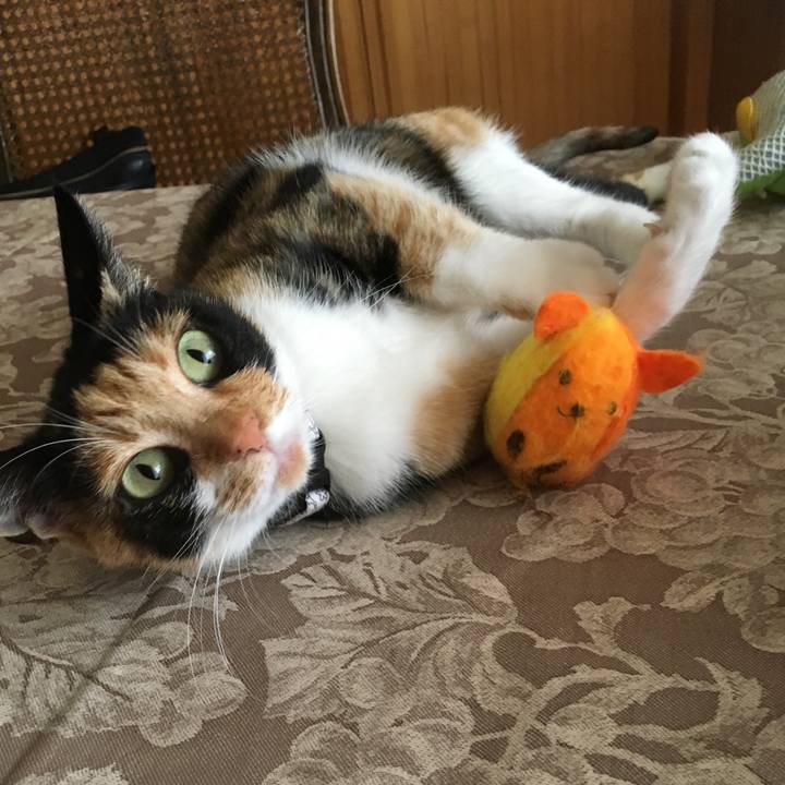 003fba6c 2392 4fbc 9a12 1ca2fc3b0b4c