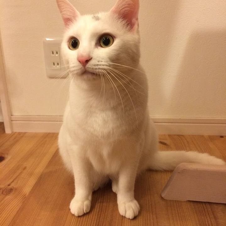 003fbc94 d487 49e4 a8d2 432d0f6e634b