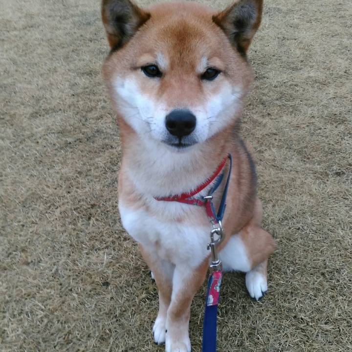 00401c08 ec77 4641 bdf9 1d4f5d52f74e