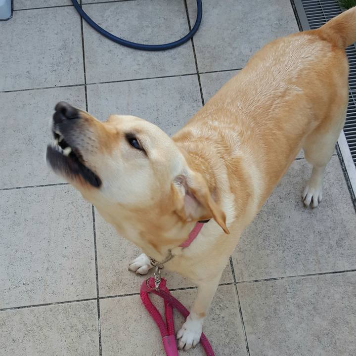 00405bfc 5eb7 470f af07 648171359213