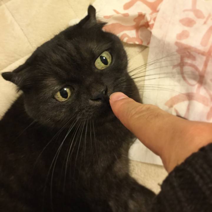 0040746b a51a 4eda a803 fbd35d0c8a18