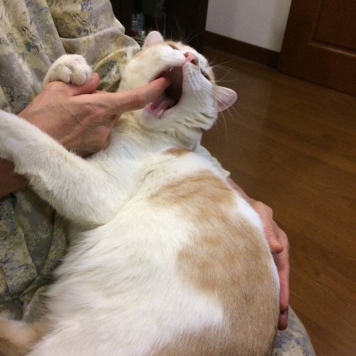 0040a6e6 6936 4f5f aec2 b41abfb9d5c7