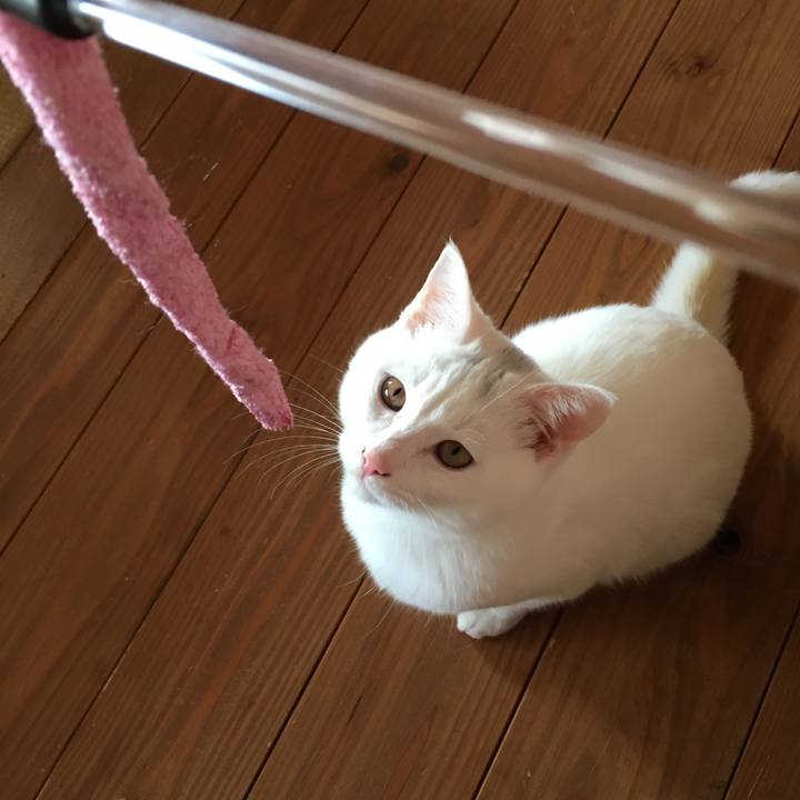 00414d86 5cec 49e8 865b ca7147180895