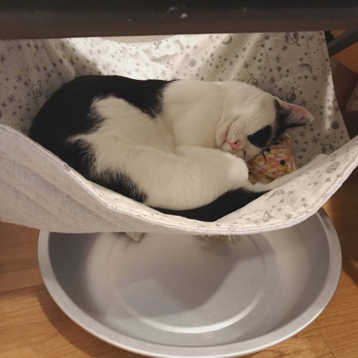 0041c326 4b1d 4954 b0e8 7eb41bf3d816