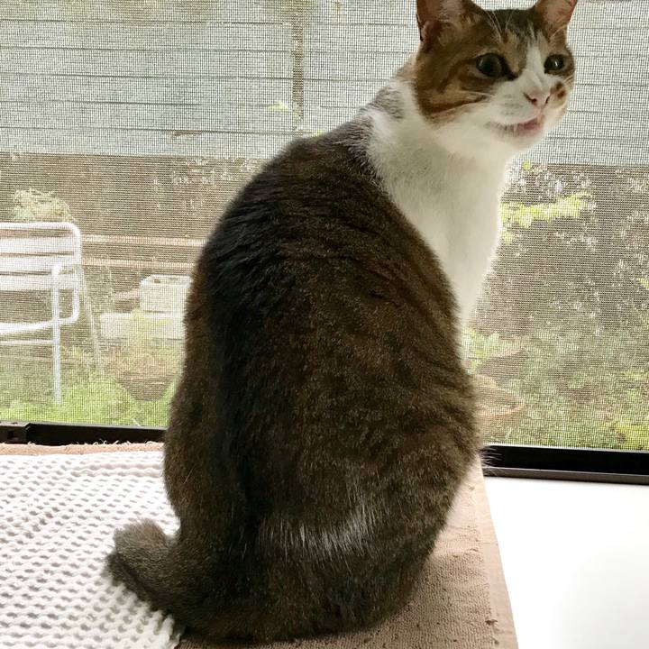 00421145 b5dc 4e22 a639 49fe78630133