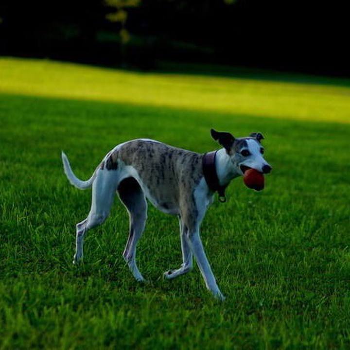 00428d78 2682 4e8f 9e3f e6f34db89214