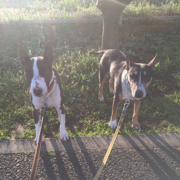 0042e1fe 2050 4d4a 9ce7 74a1937aeef5