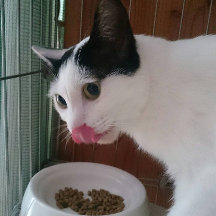 0043404d 50a9 4b71 b4dc 58ac5e12f8c9