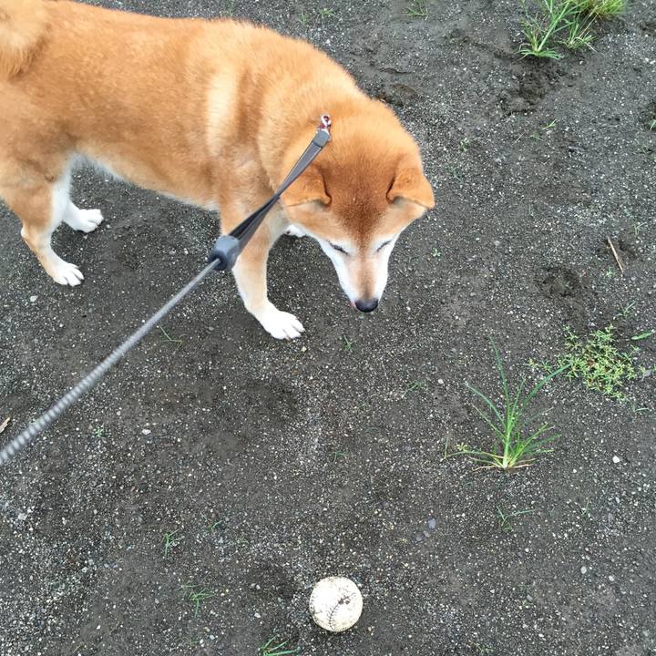 00436db2 cbd6 4361 b1f6 f8c704ae8020