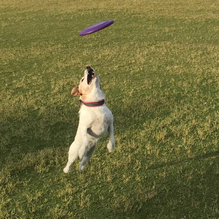 0043bc77 9e74 4cc9 b860 4105f5532f9f