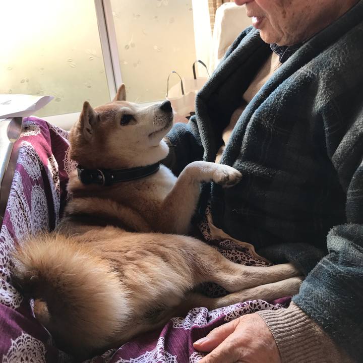 0044543a 87cc 4dcb bb47 bb68b475b2de