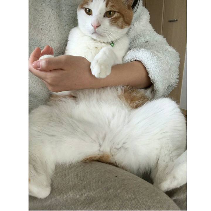 0044692c f045 4c7c 9bbf 7393195a75b8