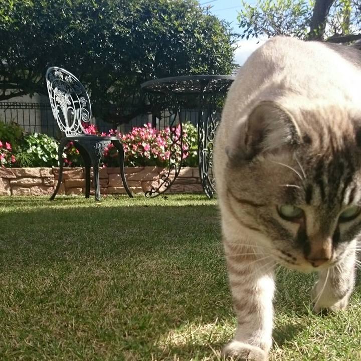 00447352 9ae7 462c af8b f526cee507b4