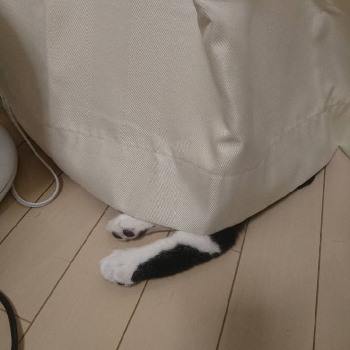 0044a9ba 77a6 4c16 979d 88640a88367f