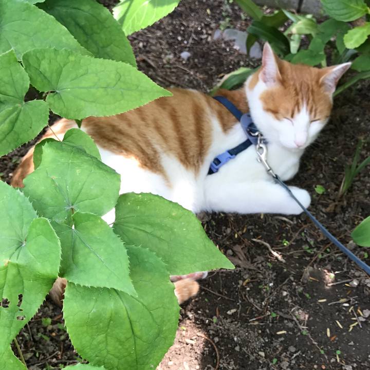 0044fef9 bb6e 4190 8ccd 2ca4bb79adb9