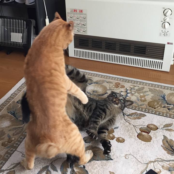 00459a6e 7123 435d a796 6b294ae74633