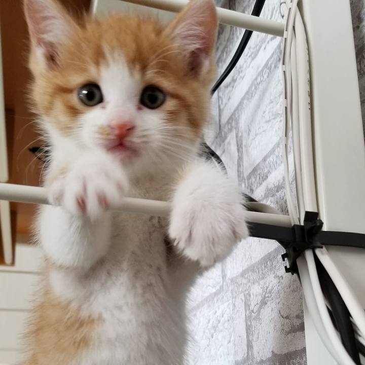 00461d0c 9c14 4871 9993 3922926c2eb7