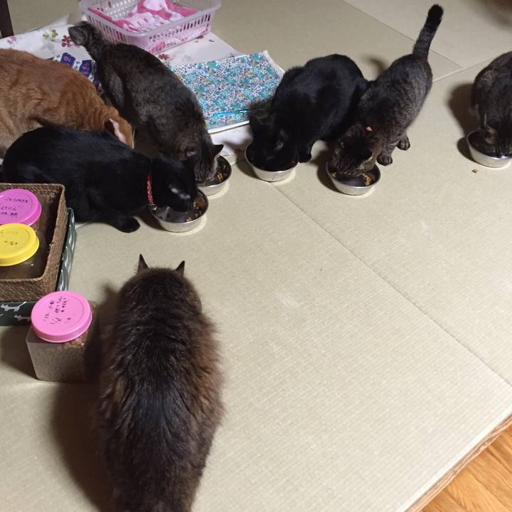 00464f73 c6c6 4c2a bf16 5acc90578ab1