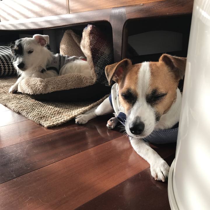 00472a85 3c83 41cd a81f 21bfab1cdcc0