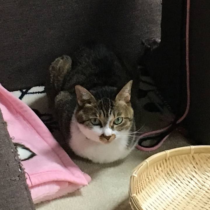 00475b85 f640 495b 888b f07f0f279dbf