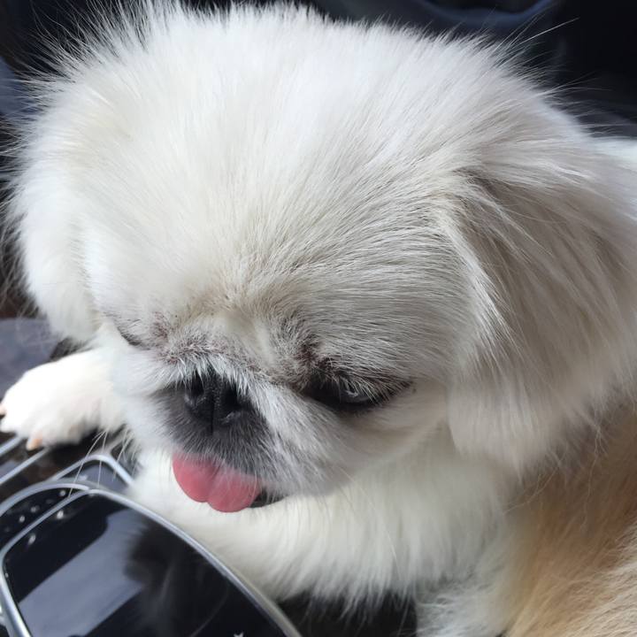 00476d08 b7d4 4dc5 9aa4 8d45c33ffece