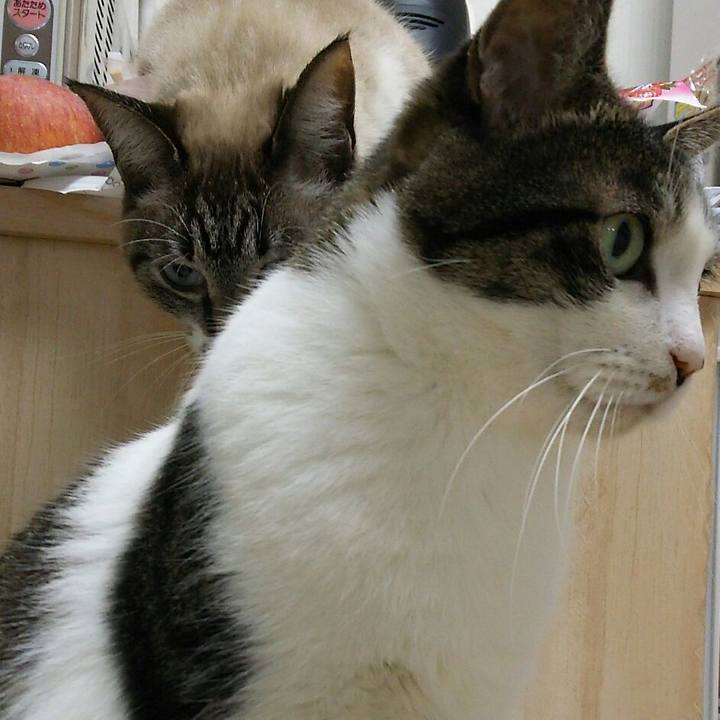 0047dd69 2cfb 4c73 9d79 24698e81e9c2