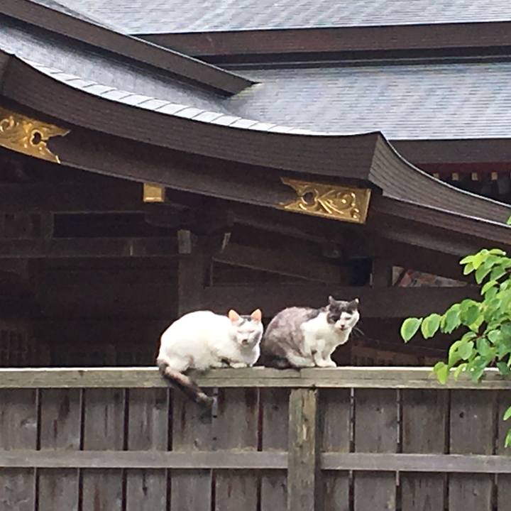 00482684 6e3e 4c75 8ae0 eb34e831890a