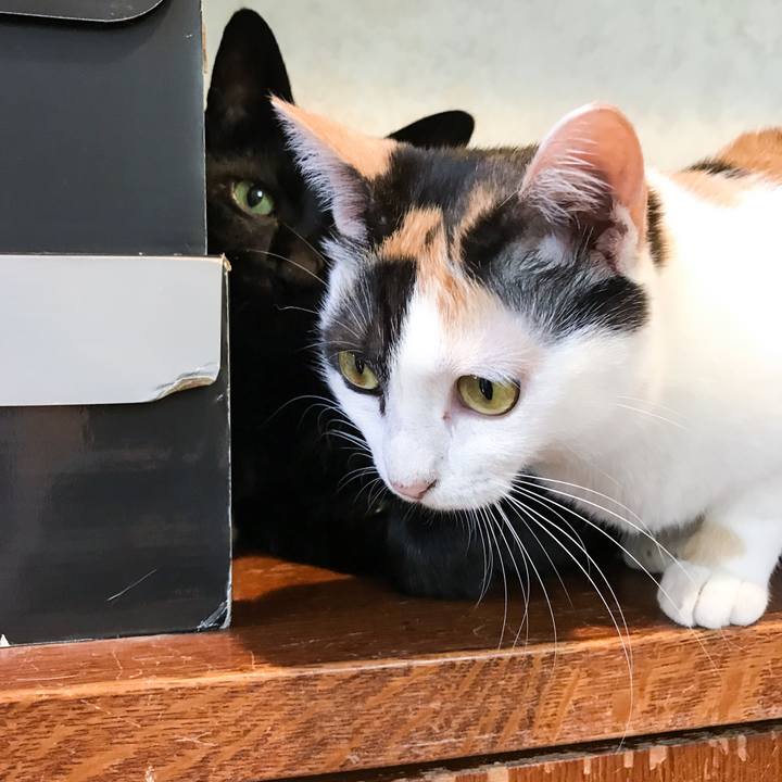 0048d6e8 b8fd 4525 b5bc 43b8dc9f3099