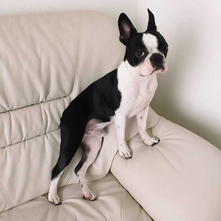 0048ea1f cb79 469b a9bf b9d619b4ab8e