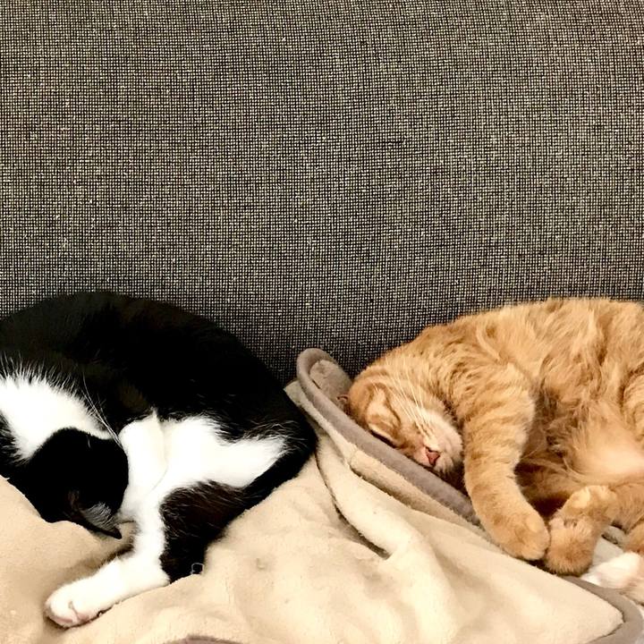 0048f539 0b5f 47b8 8c0f 886335a27ade