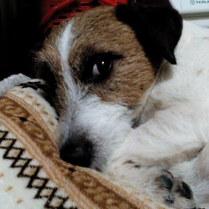 004a5124 ec17 44f0 a44d 8569cfabc295