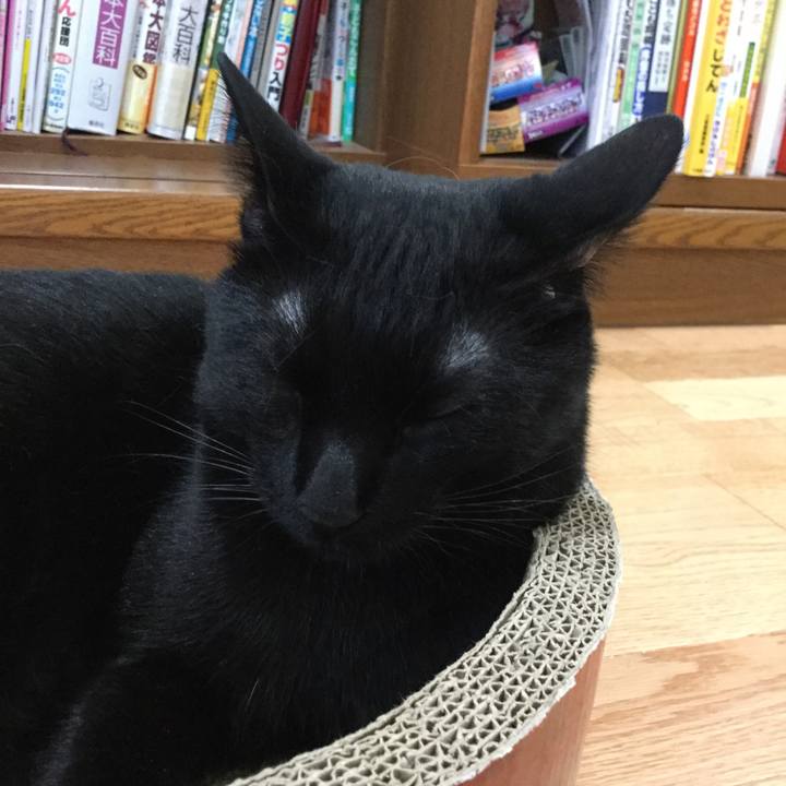 004abac2 252f 408c 8dd8 05ea34b9f114