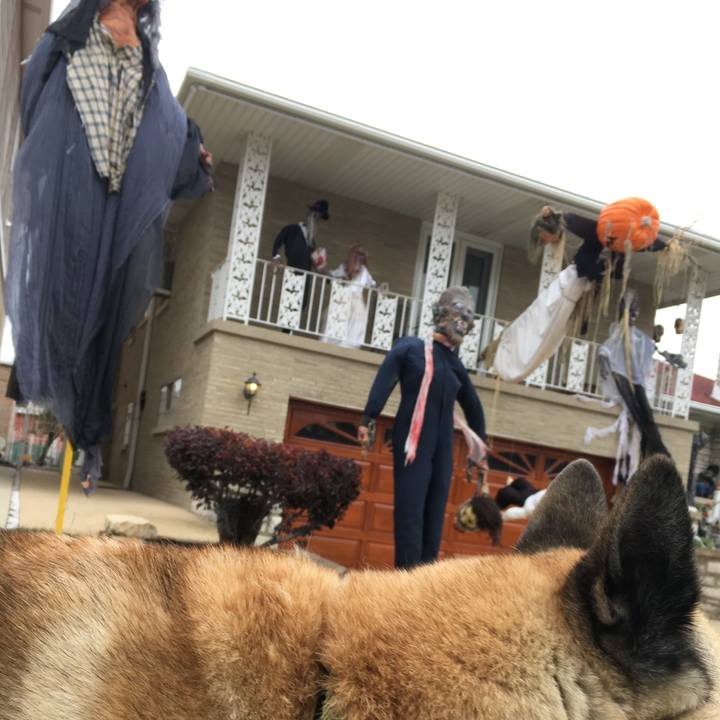 004b6eb8 4b67 4dc5 a33b a71119beb29d