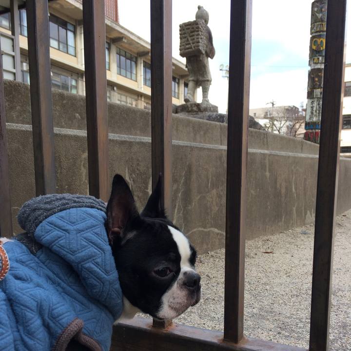 004c857f ca15 418d b90d 12609b74d27e