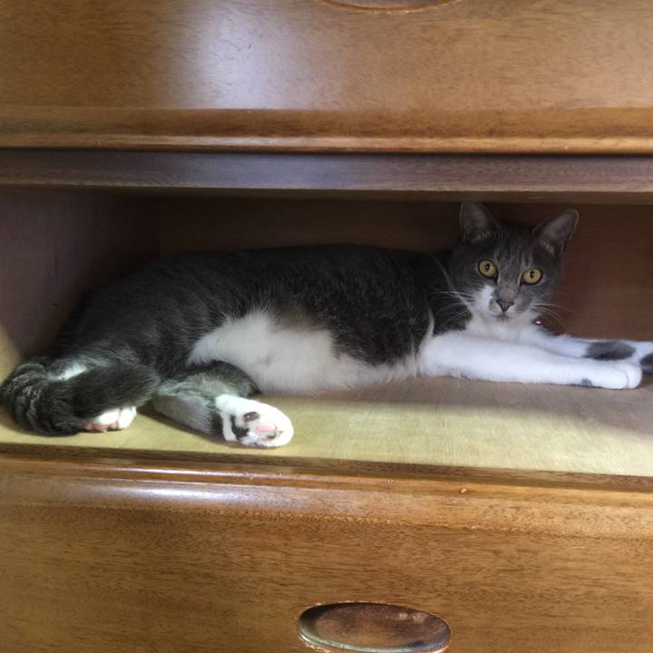 004c9e64 6db9 4915 9596 08e3564ec894