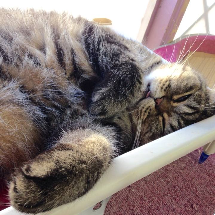 004ca6a8 d603 4a26 abed 61aca5617067