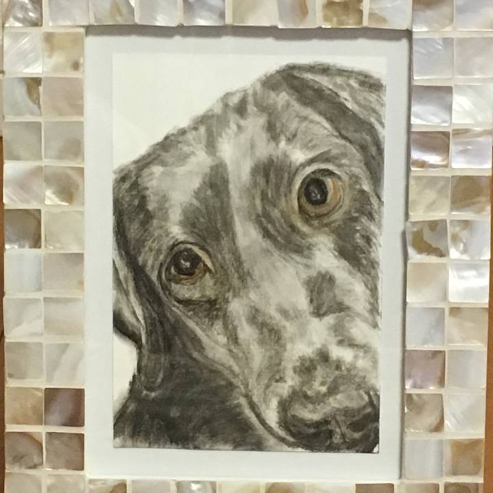 004cc11d 5901 45f3 9710 14039fc3fc1f