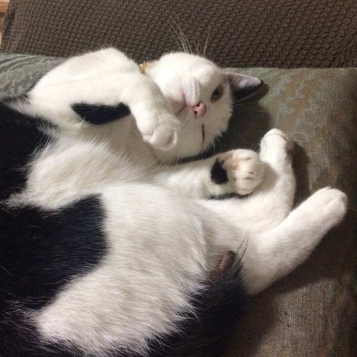 004d0c3d dfa7 4f7e b5c4 df1ea6bb0980