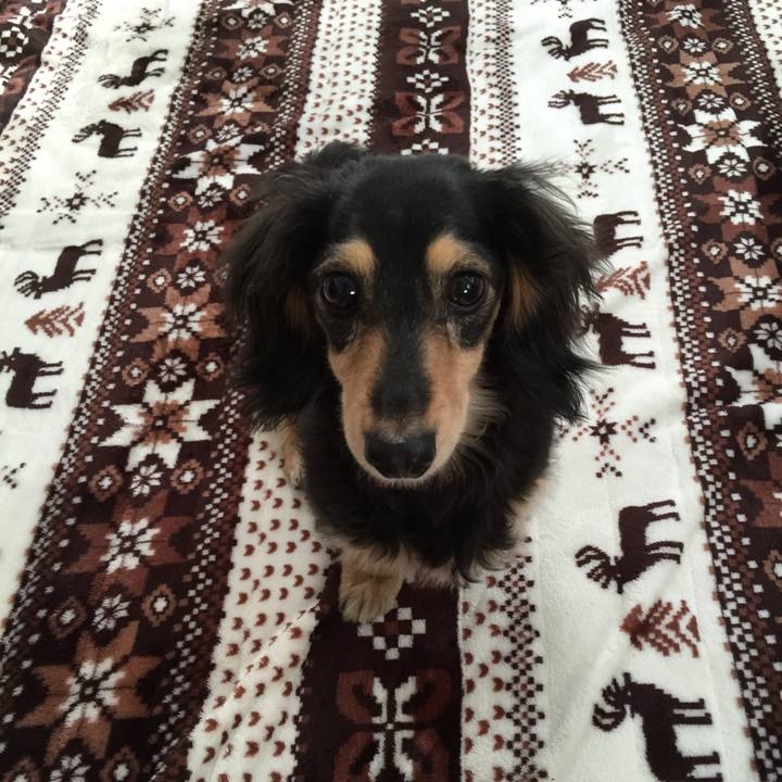 004d49c9 e6ab 49da 9782 f20a477060b9