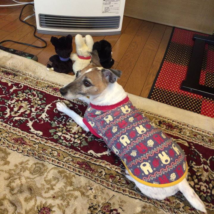 004d9e1c f020 423f 99a8 83d7bccd1dd1