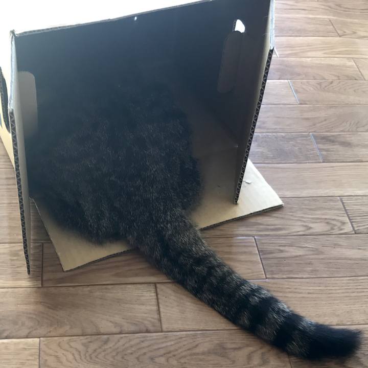 004e06da 21c4 4d71 9517 5a861dd28c12