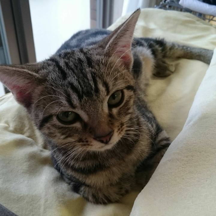 004e342c 6241 4d70 961e c8d71715e60a