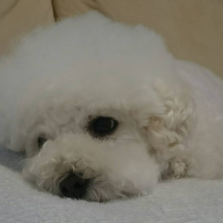 004e7b03 f666 4ab0 8e95 5d53135f26d6