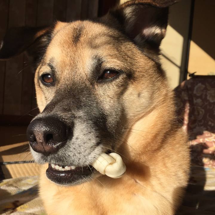 004ea02a 6923 4973 9f0d 4c1e054d89a0