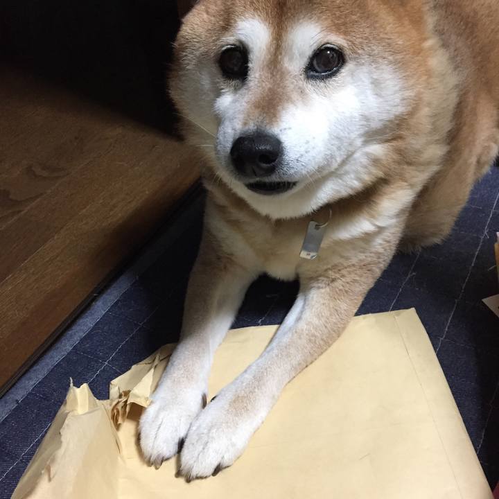 004ec46c 4e82 49f6 8cd6 19af348d8c28