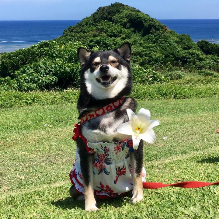 004ecf81 378e 448a 8c94 05215de4aa75